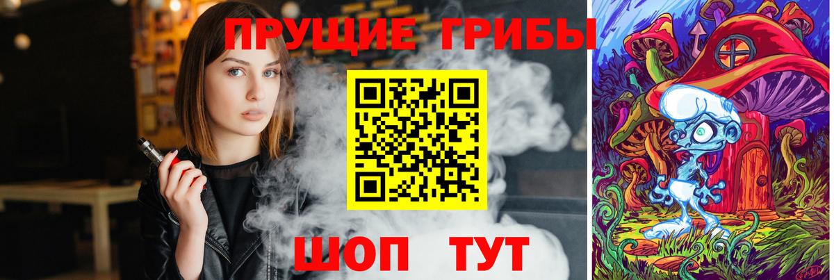Псилоцибиновые грибы GOLDEN TEACHER Ишим